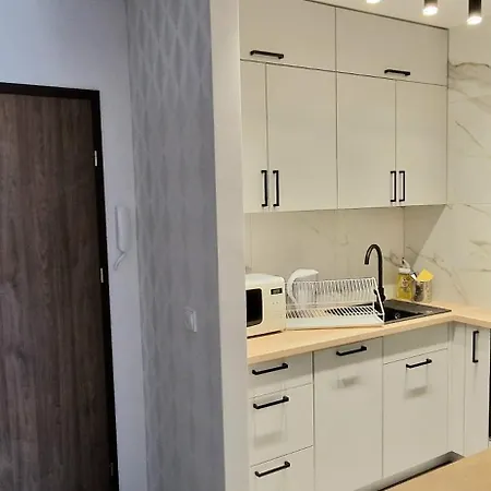 Apartament Okrzei One *